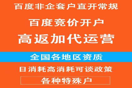 竞价广告与自然搜索的结合策略：XX网站的案例分析